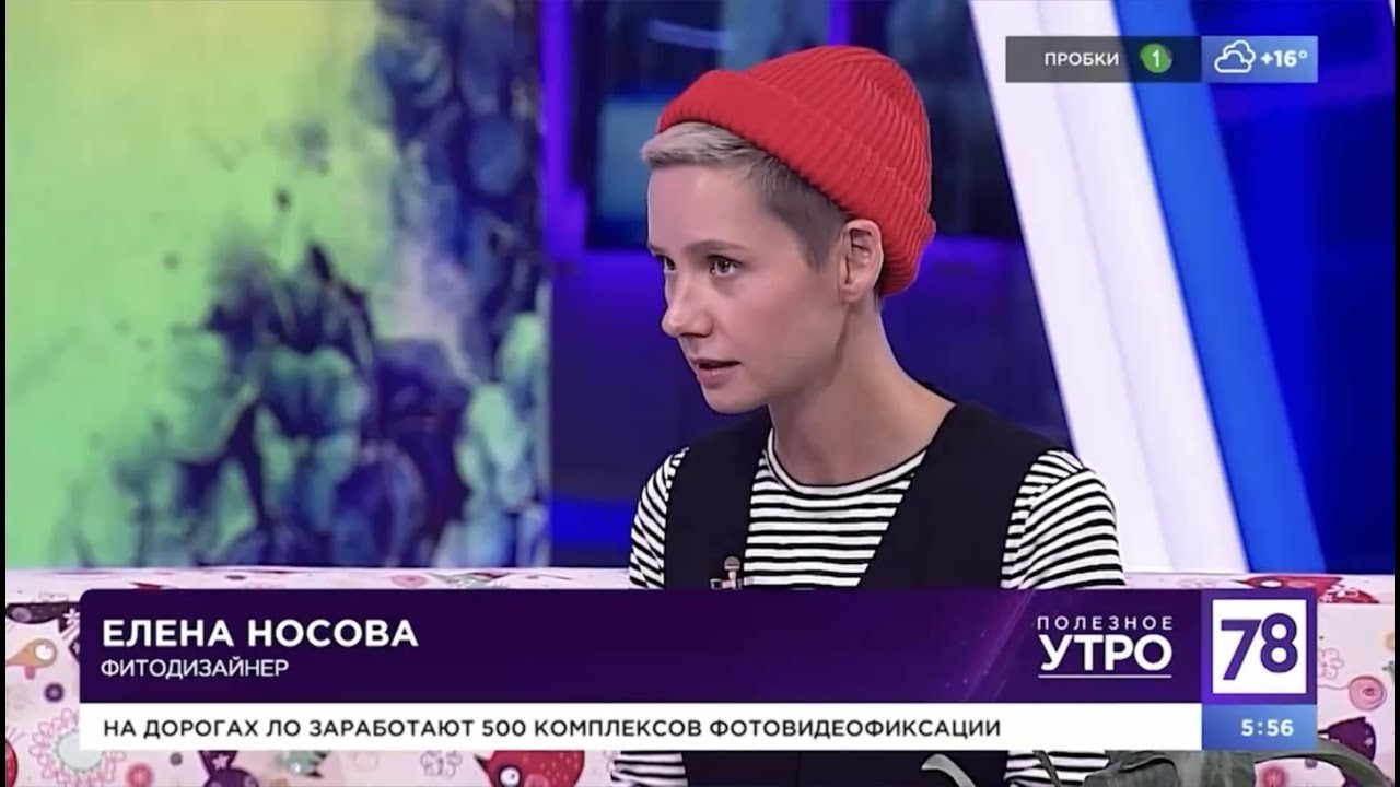 Растения всю зиму стоят на холодном балконе. Как?