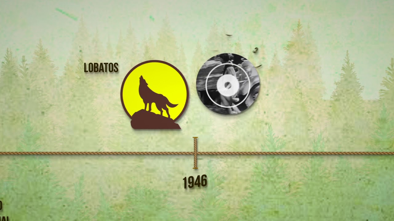 Historia Guías y Scouts CR