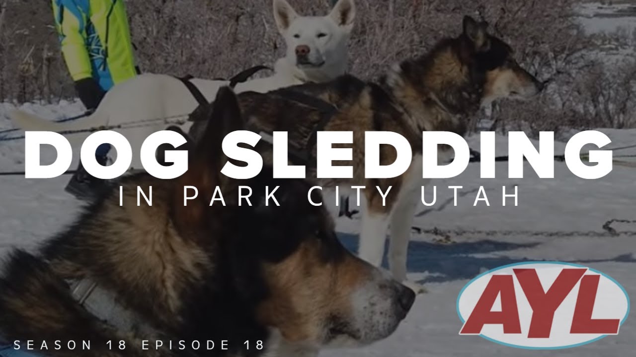 S18 E18: Rancho Luna Lobos Dog Sledding in Park City