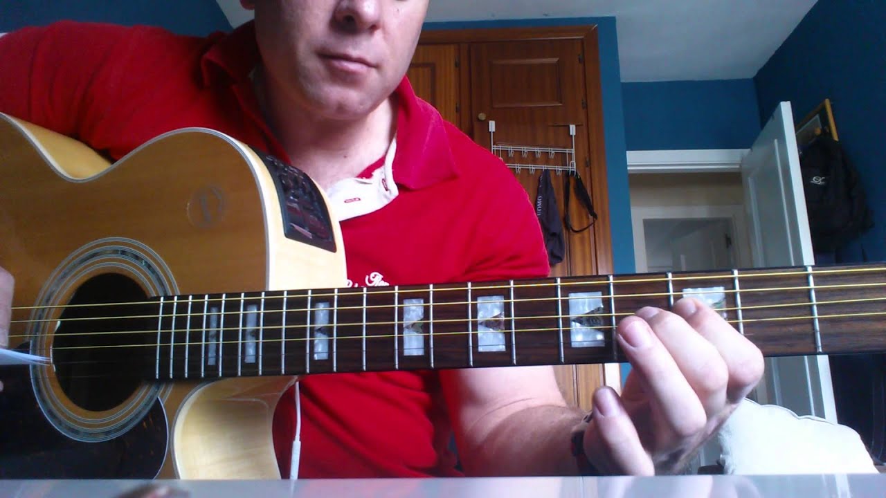 Pajaros disecados Intro Guitarra
