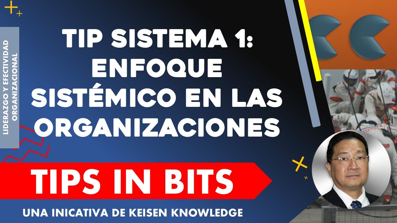 006 - Tip Sistema 1: Enfoque Sistémico en las Organizaciones