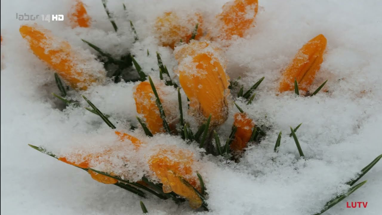 Es gibt ihn noch... den Winter!