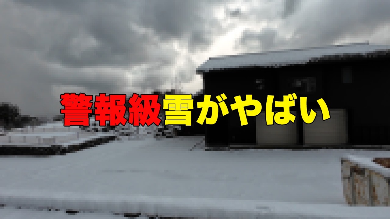 警報級大雪でした