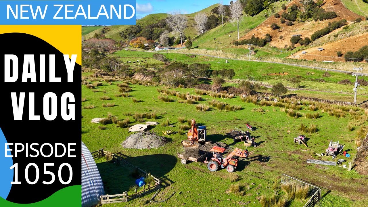 Carting metal and fence repairs on a sunny day [Life in New Zealand #1050]