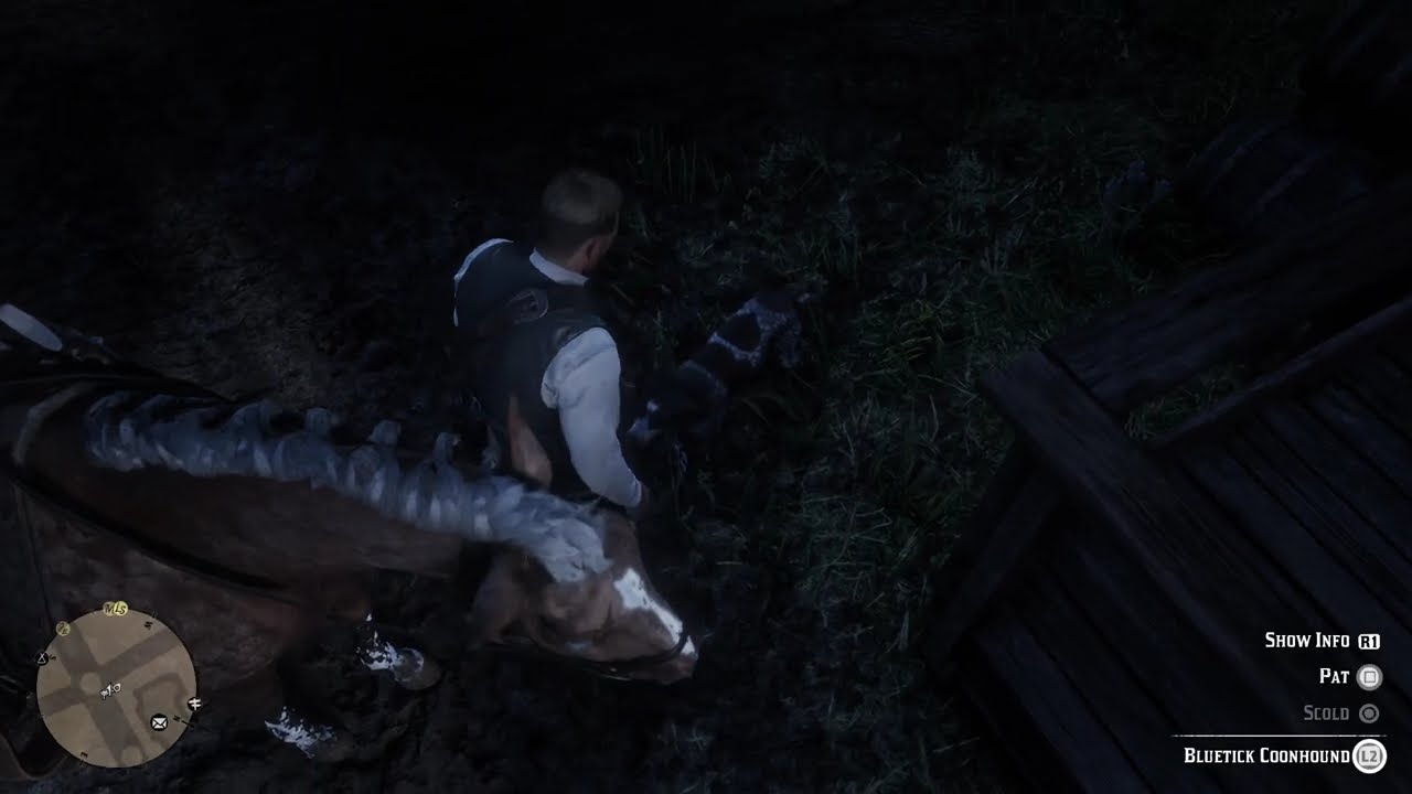 Red Dead Redemption 2_20260201224454