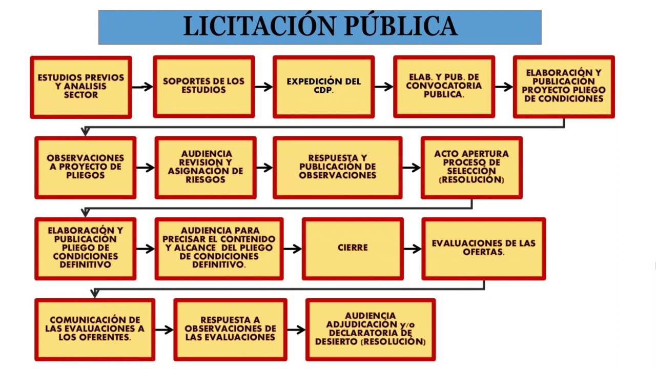 LICITACI&Oacute;N P&Uacute;BLICA PASOS Y TIEMPOS