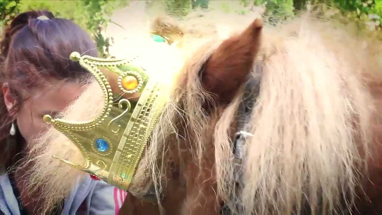 Holland's Next Octopus Paul: De kroning van Zowie