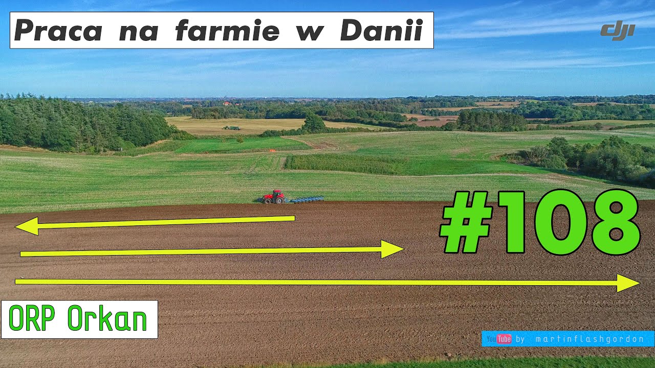 Praca na farmie w Danii #108 | Work on the farm in Denmark #108