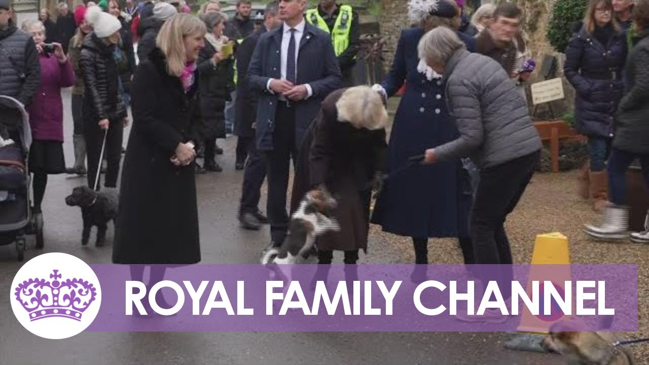 Camilla's Adorable Rescue Dogs Join her for Tree-Planting