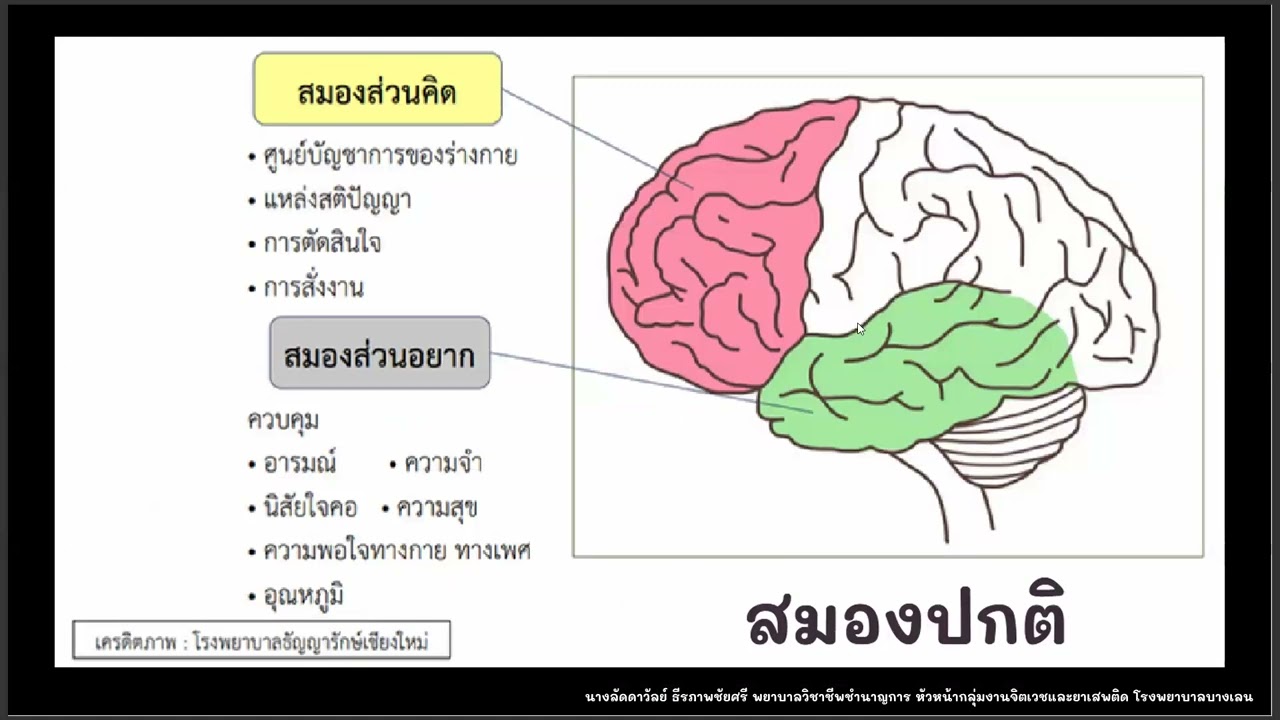 สื่อการสอนให้พุทธมณฑล