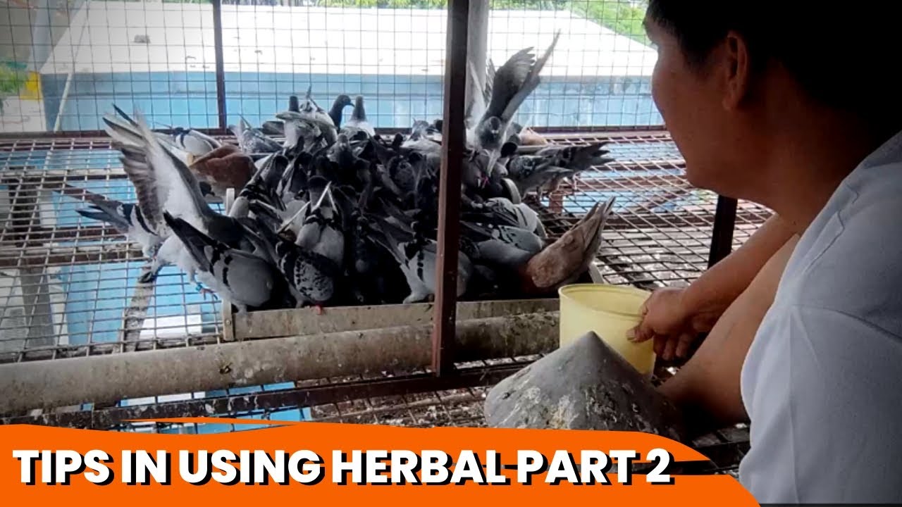 HERBAL TIPS
