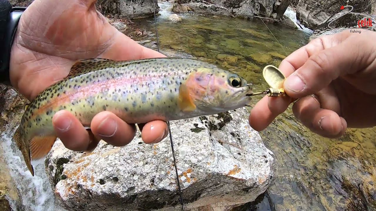 Alabalık Avı 🐟 Bu Derenin Balıkları Çıldırmış 🎣 Her Atışta Neredeyse Balık Aldık