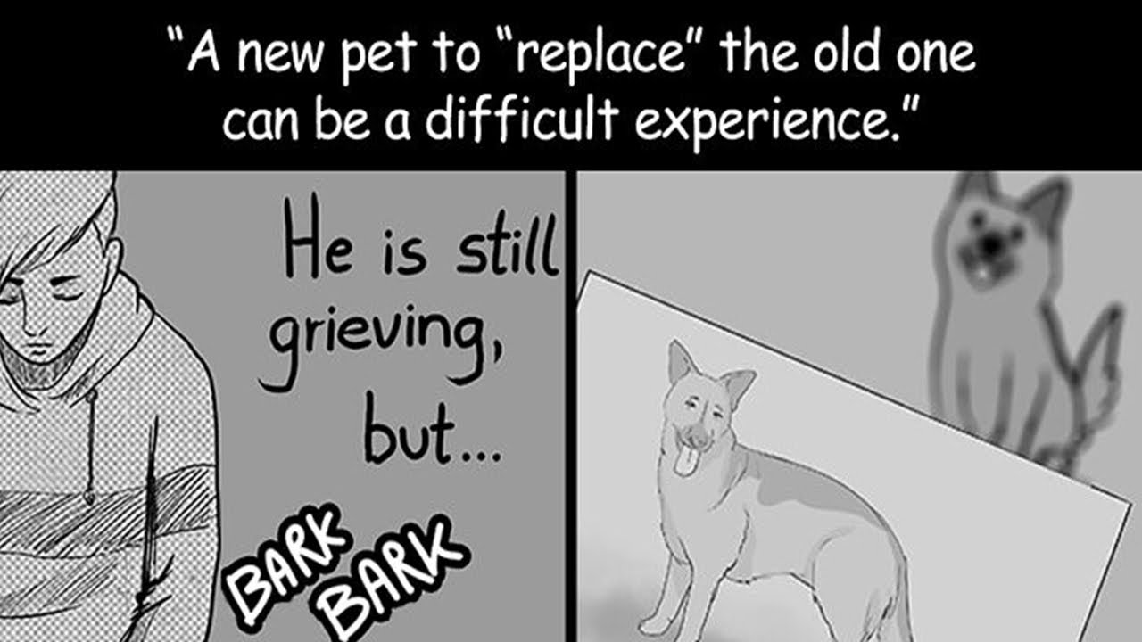 Artist Who Made People Cry With Her Grim Reaper Animal Comics Is Back