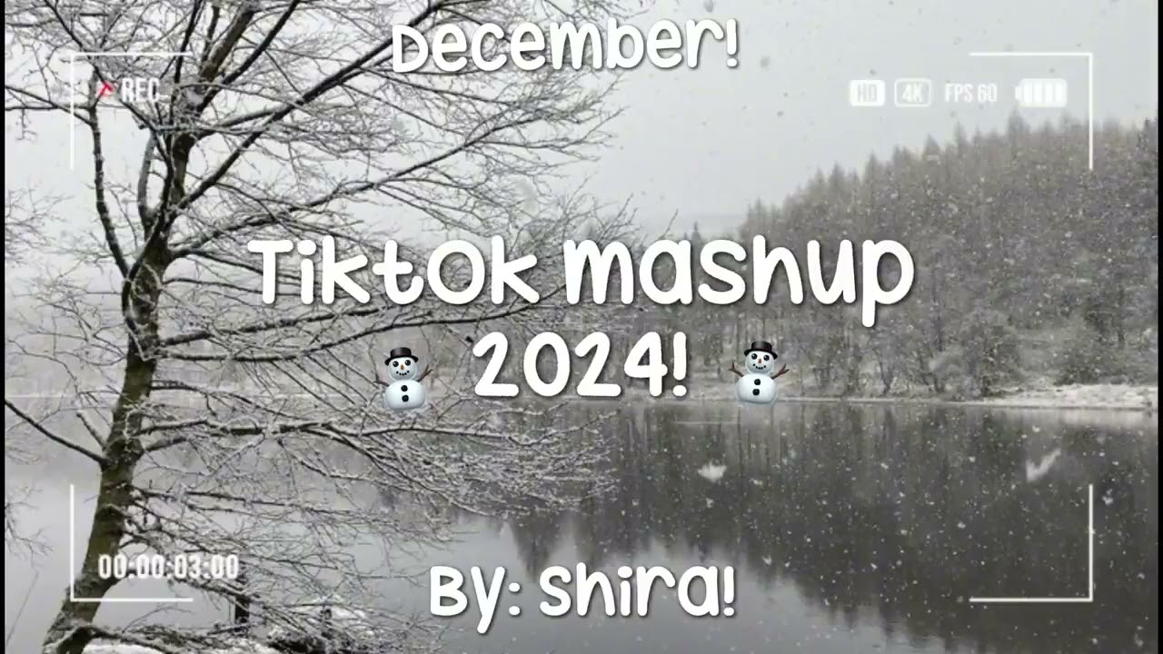 Tiktok mashup 2024!⛄️