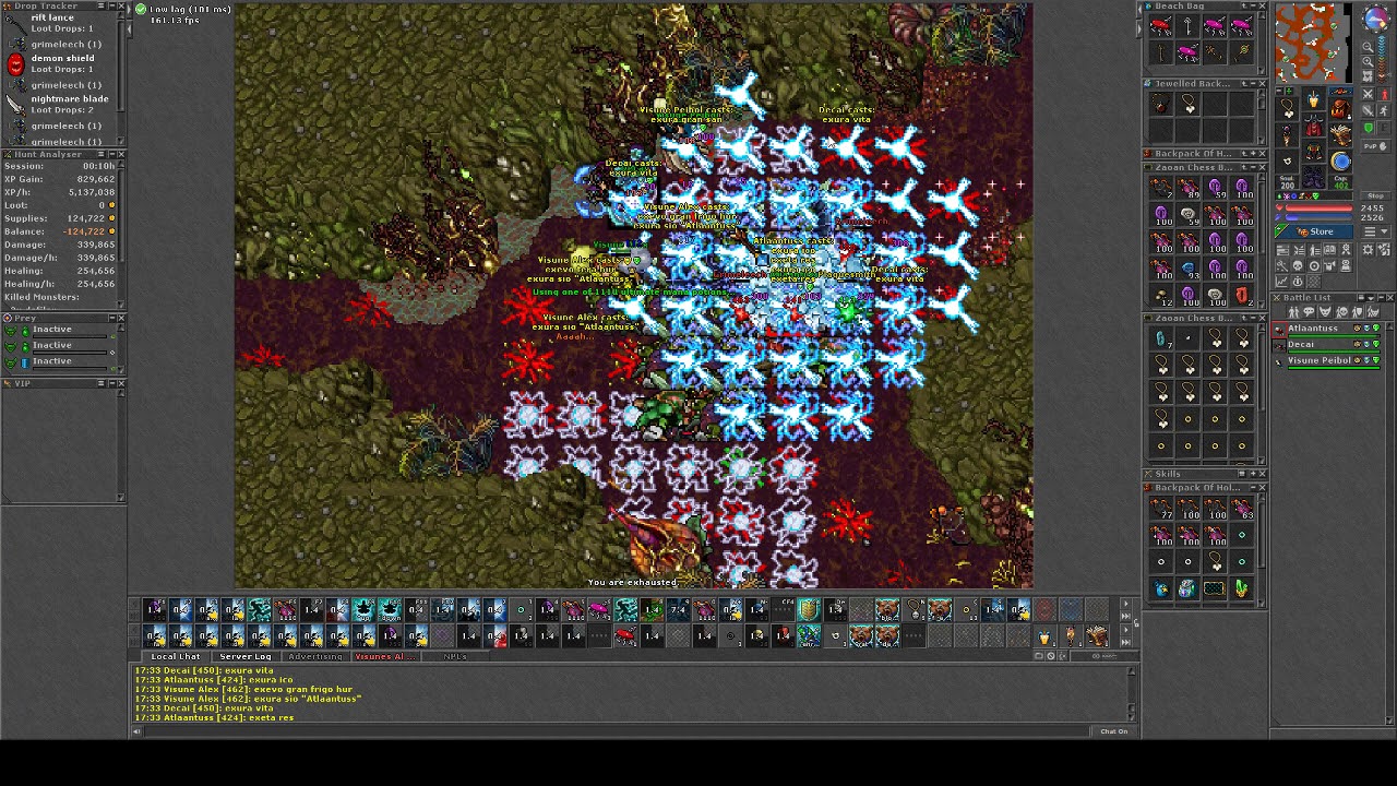 Tibia [Duna] Plage Seal 4 vocations -- 8.2kk/h -- not charms