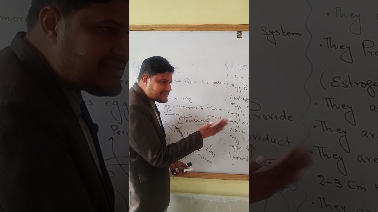 Class 12 biology chapter Reproduction. Female reproductive system #classxiibiology #science #foryou 