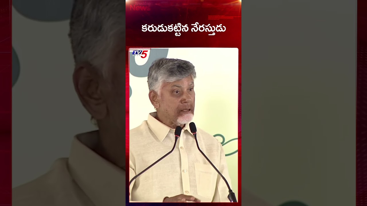 CM Chandrababu on YS Jagan | AP Political News | TV5 News