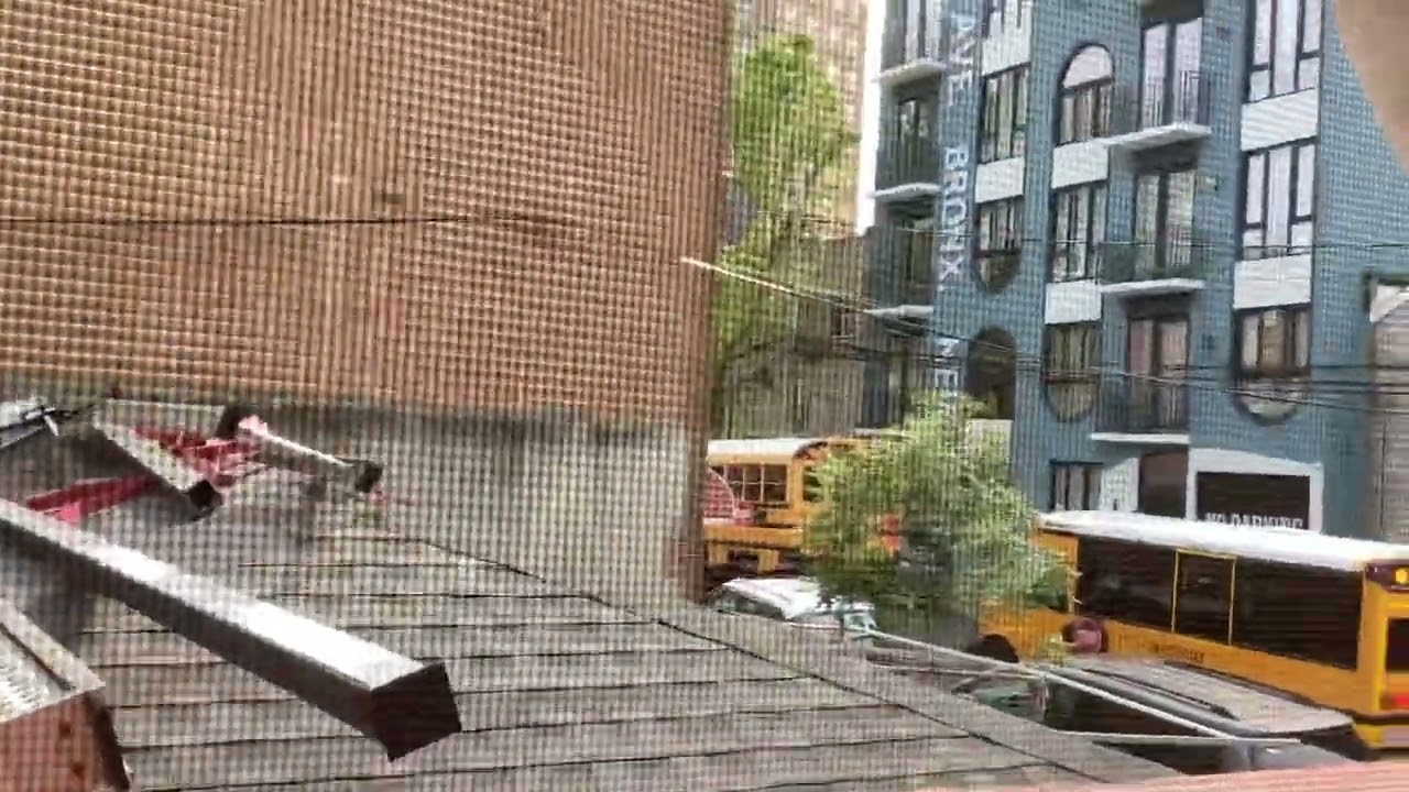 School bus 1256 and NYCBUS drving away