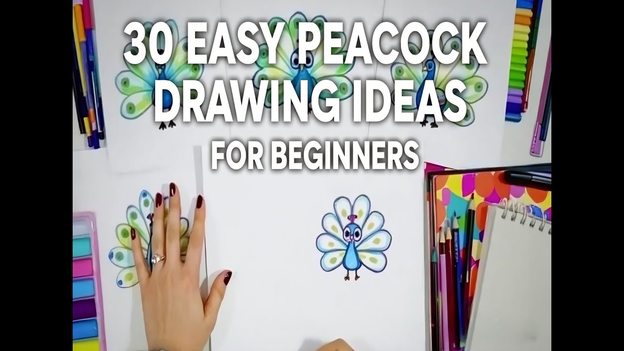 30 Easy Cute Peacock Drawing Ideas For Beginners