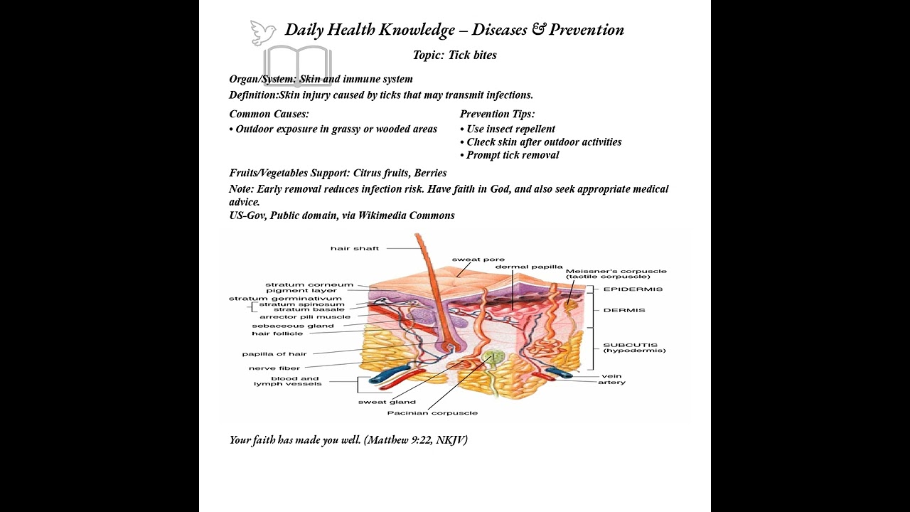 ▶Daily Health Knowledge-Diseases Prevention-Tick bites December 22, 2025