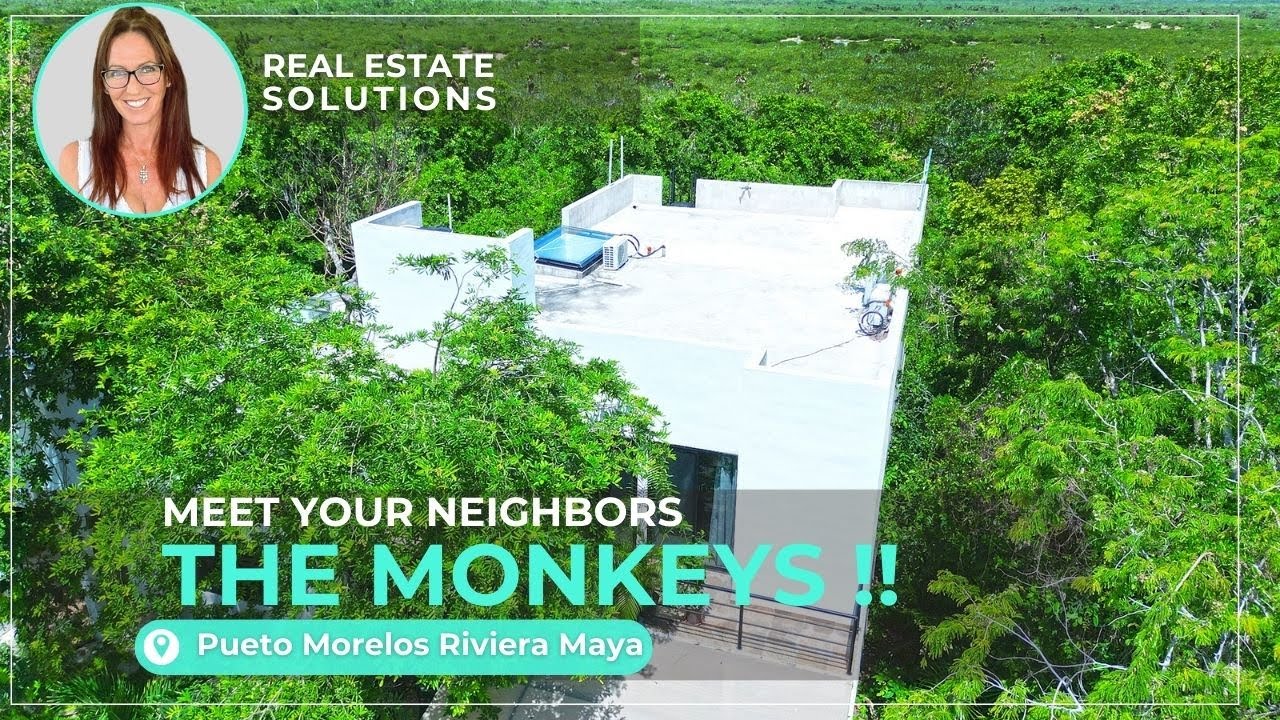 Monkey House !! for sale in Puerto Morelos  Riviera maya Mexico