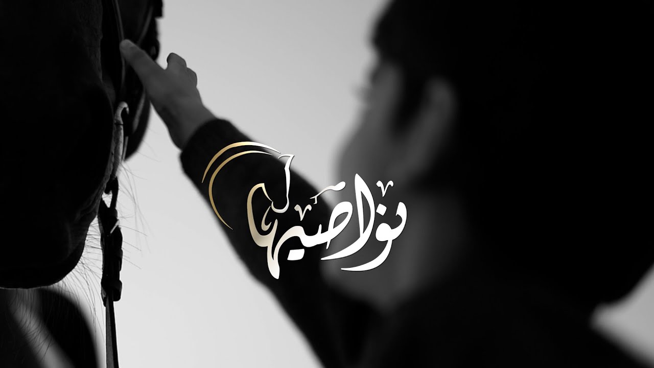 #الخامس_من_يناير|🔹️نواصيها - خيالة شرطة عُمان السلطانية.