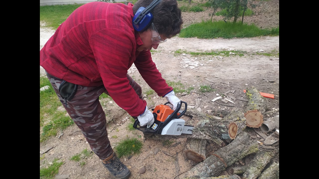 motosierra ms 170 stihl