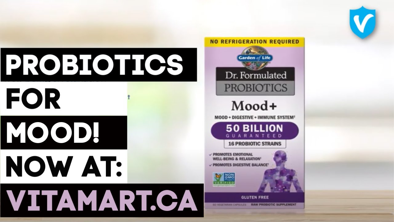 Garden of Life Dr. Formulated Probiotics Mood | Vitamart.ca