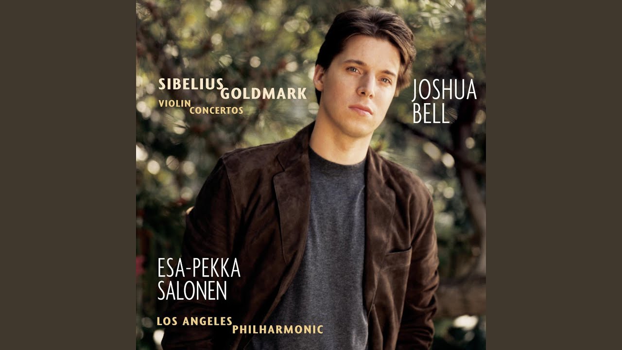Violin Concerto in D Minor, Op. 47: I. Allegro moderato