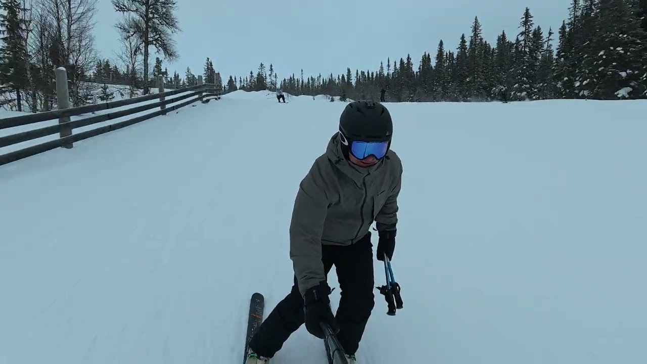 2026-02-23 Stugsvängen (Baloo + Mowgli)