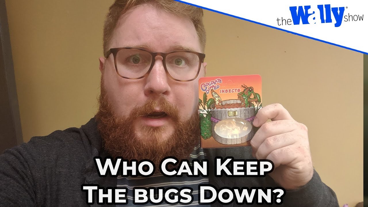 The Wally Show Attempts to Eat Chocolate Covered Bugs