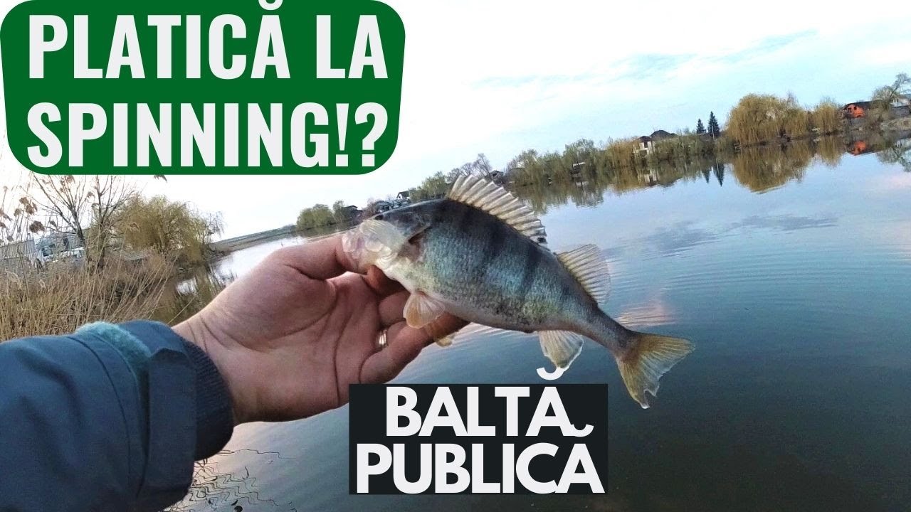 Am prins BIBANI si PLATICA la Spinning pe BALTA PUBLICA (Martie 2021)
