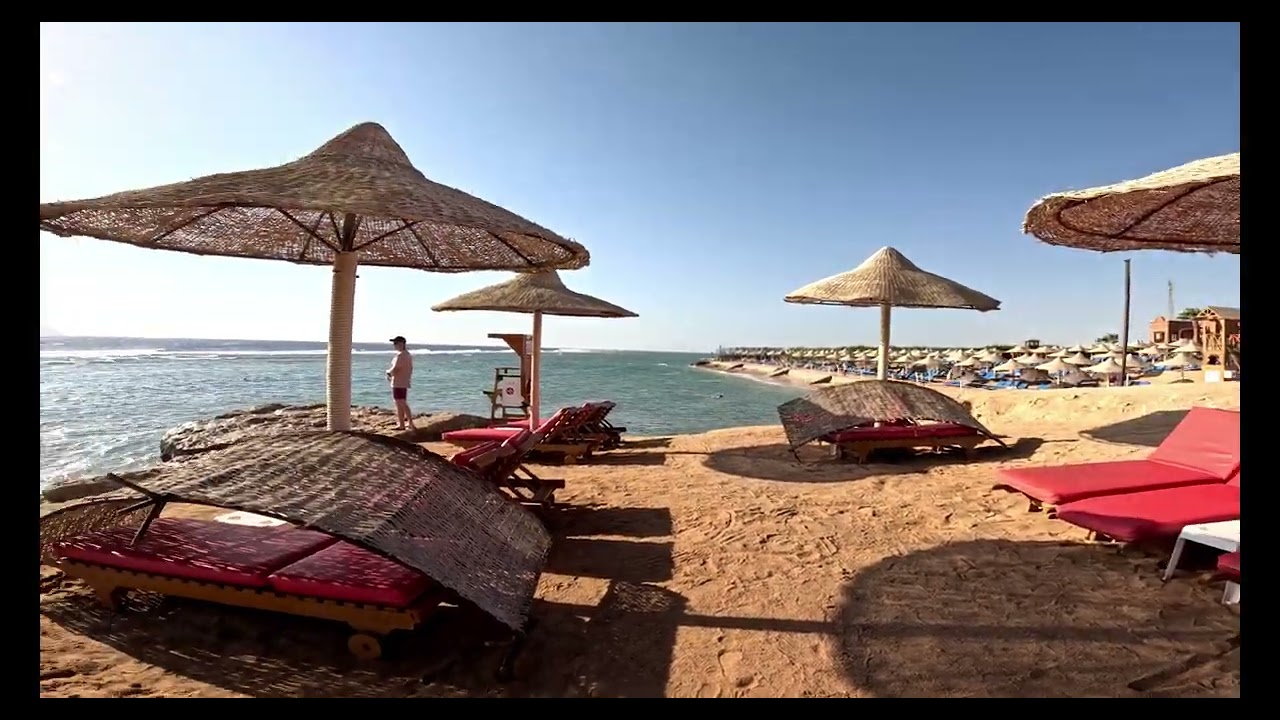 Charmillion Sea Life #Egypt #Sharm el Sheikh #Holiday