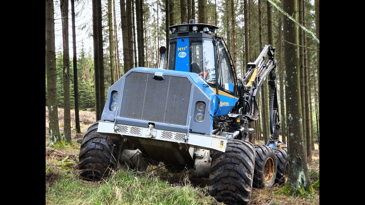 Rottne H11-C • Forstbetrieb Holz-Winter • 8-Rad Harvester