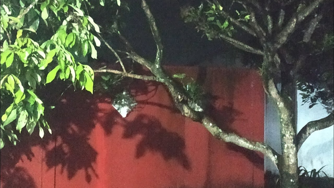 Peaceful Village Night in Heavy Rain l  Living in Village