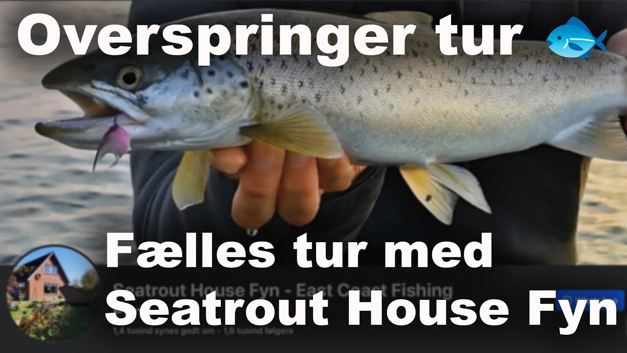 Seatrout House Fyn 🎣 Fælles Havørred Fiskeri 🐟