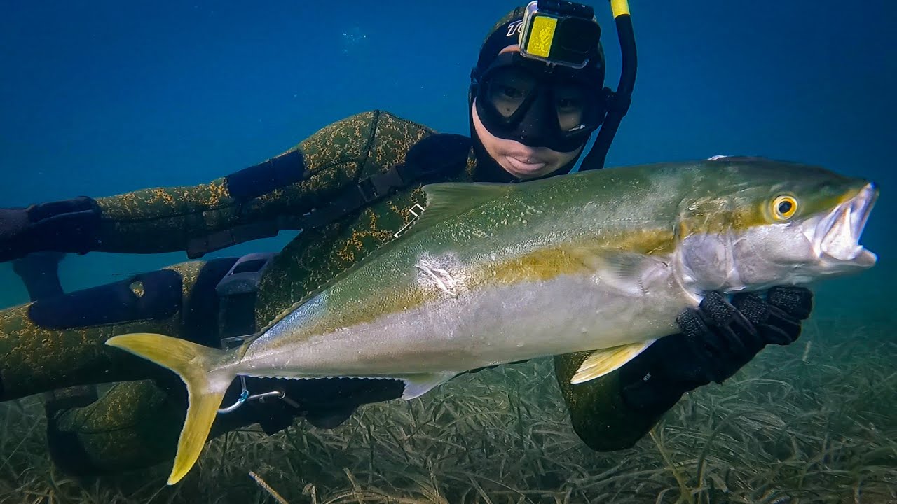 How I Speared My First KINGFISH! 
