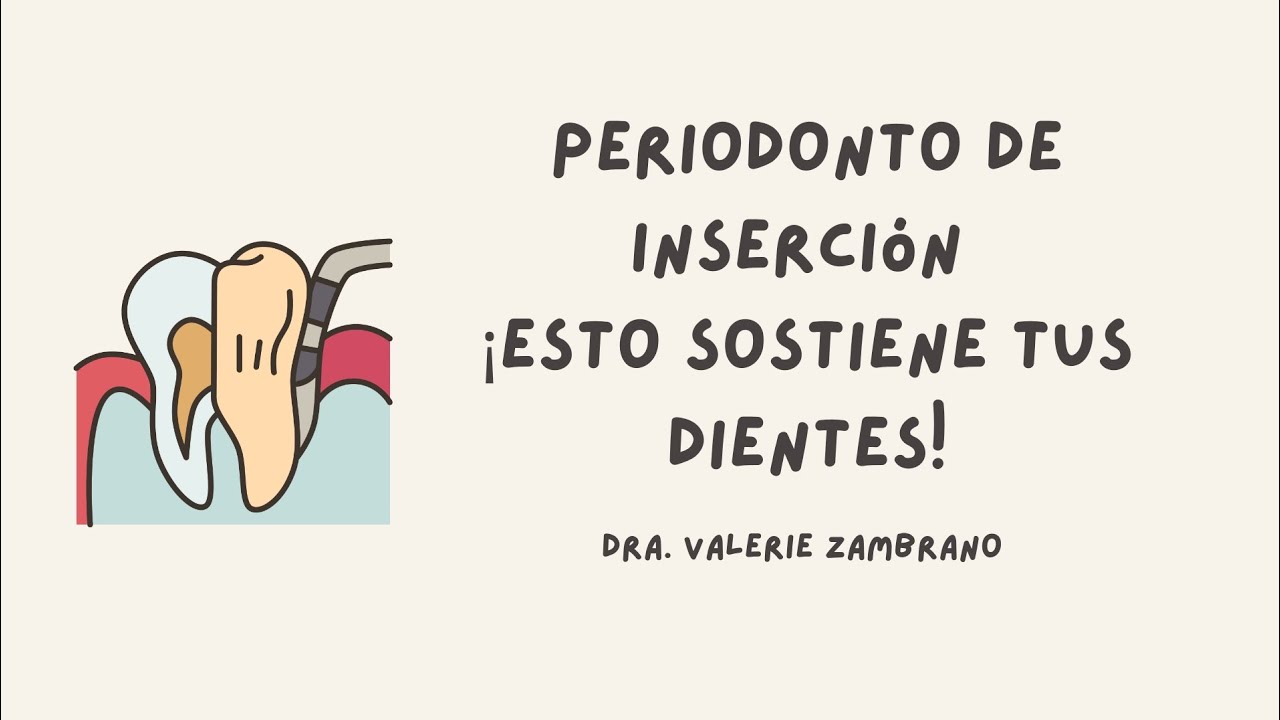 APARATO DE INSERCION #Ligamentoperiodontal #huesoalveolar #cemento