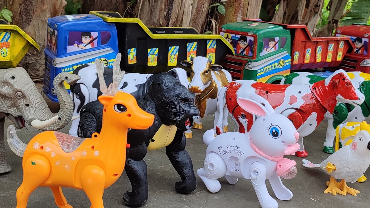 🔴Widih Truk oleng angkut induk sapi warna warni sapi lucu gajah rusa kingkong ayam ikan dinosaurus