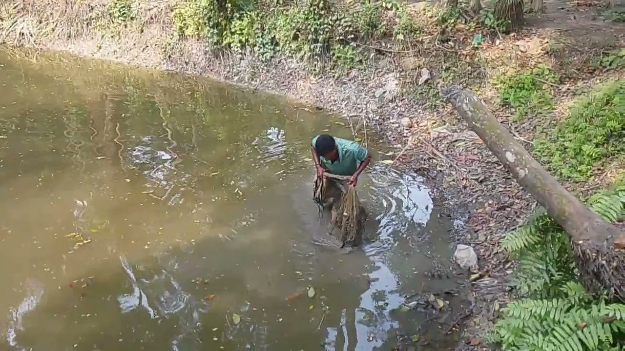 দুপুরবেলার রোদ্দুরে পুকুরের ঠান্ডা পানিতে নেমে জাল আর খালি হাত—