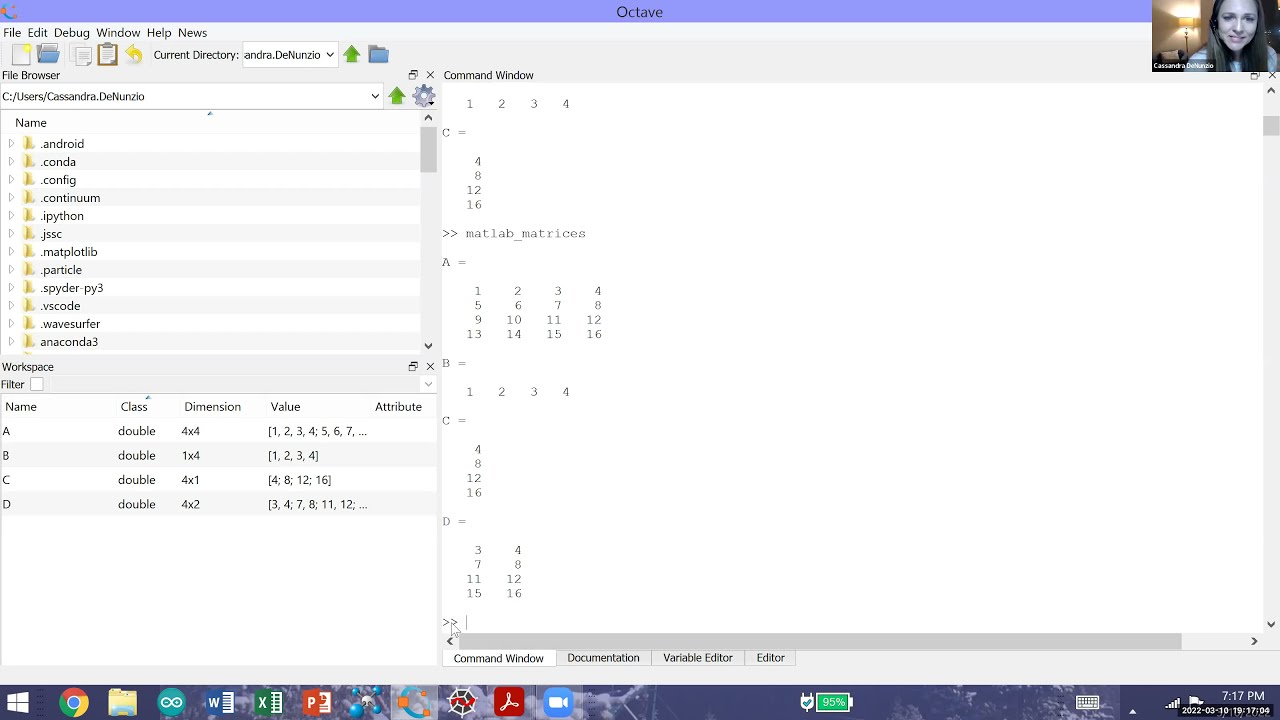 Accessing Matrix Elements in Matlab or Octave