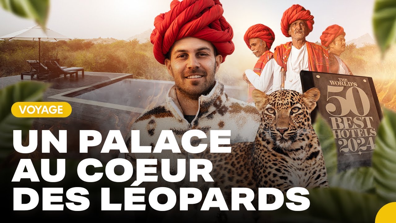 Des léopards au cœur d’un des 50 PLUS BEAUX HÔTELS du monde !