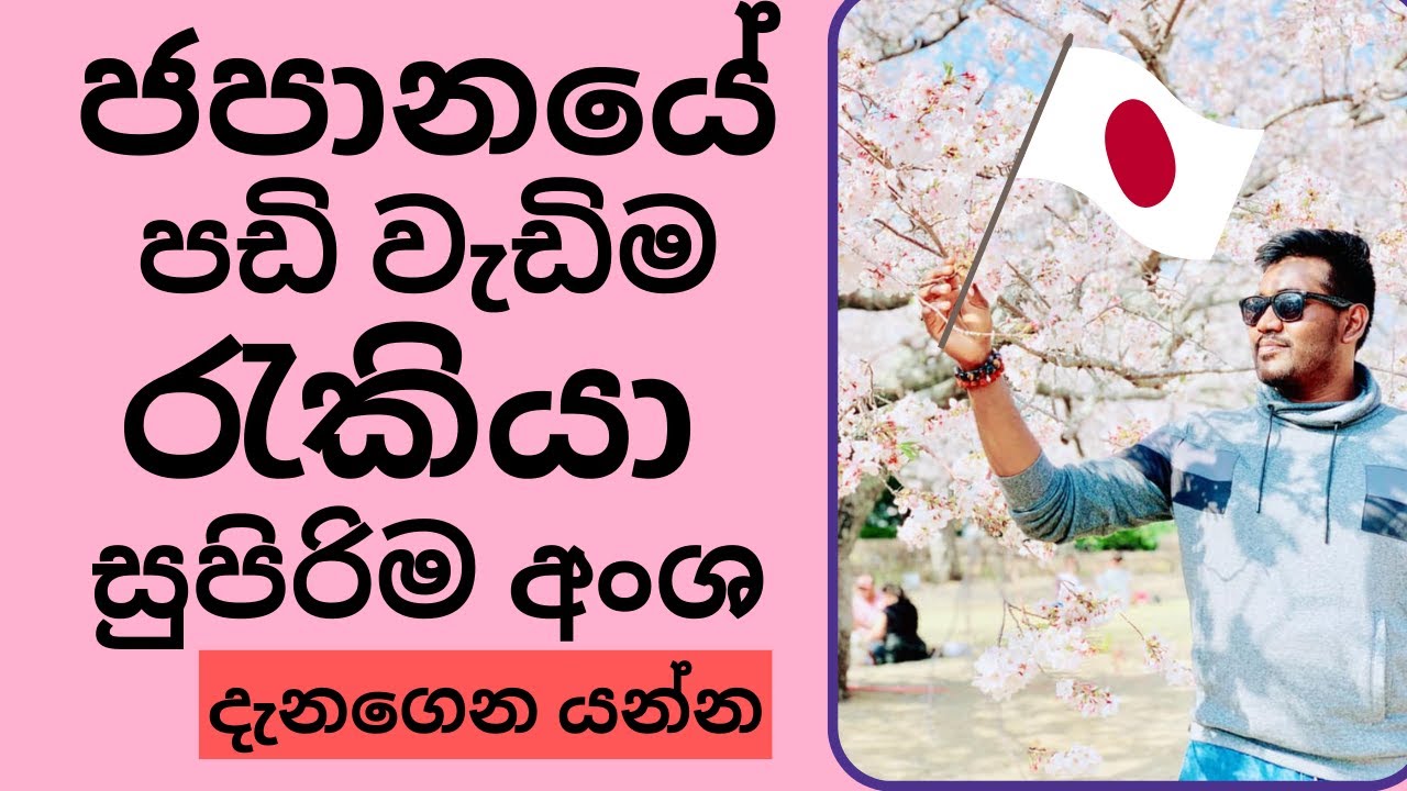 ජපානයේ සුපිරිම අංශ හා පඩි වැඩි රැකියා | Japan jobs for Sri Lankans | Japan job salary Sinhala