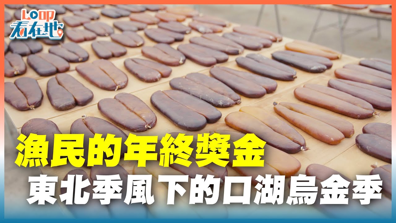 《LO叩看在地》漁民的年終獎金：東北季風下的口湖烏金季