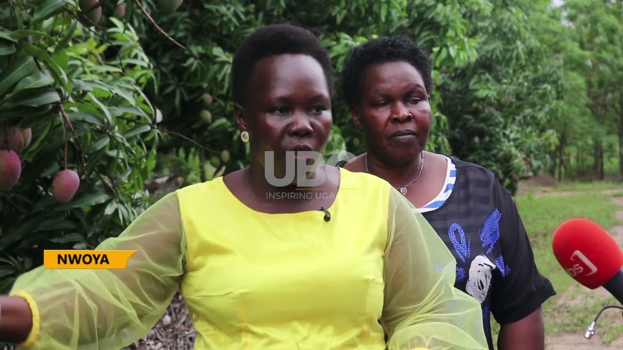 Nwoya fruits factory - farmers appeal for a factory to add value to fruits.