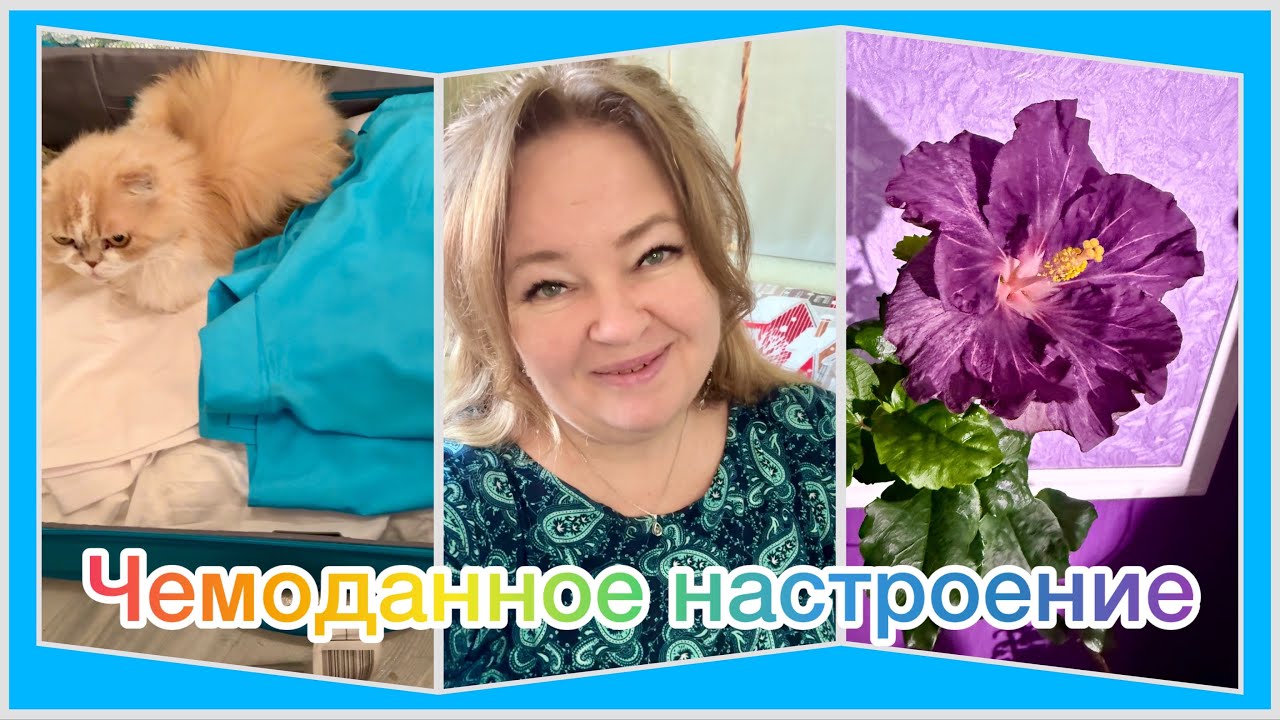 Вьетнамские советы Артёма. Собираю чемоданы в дорогу. 