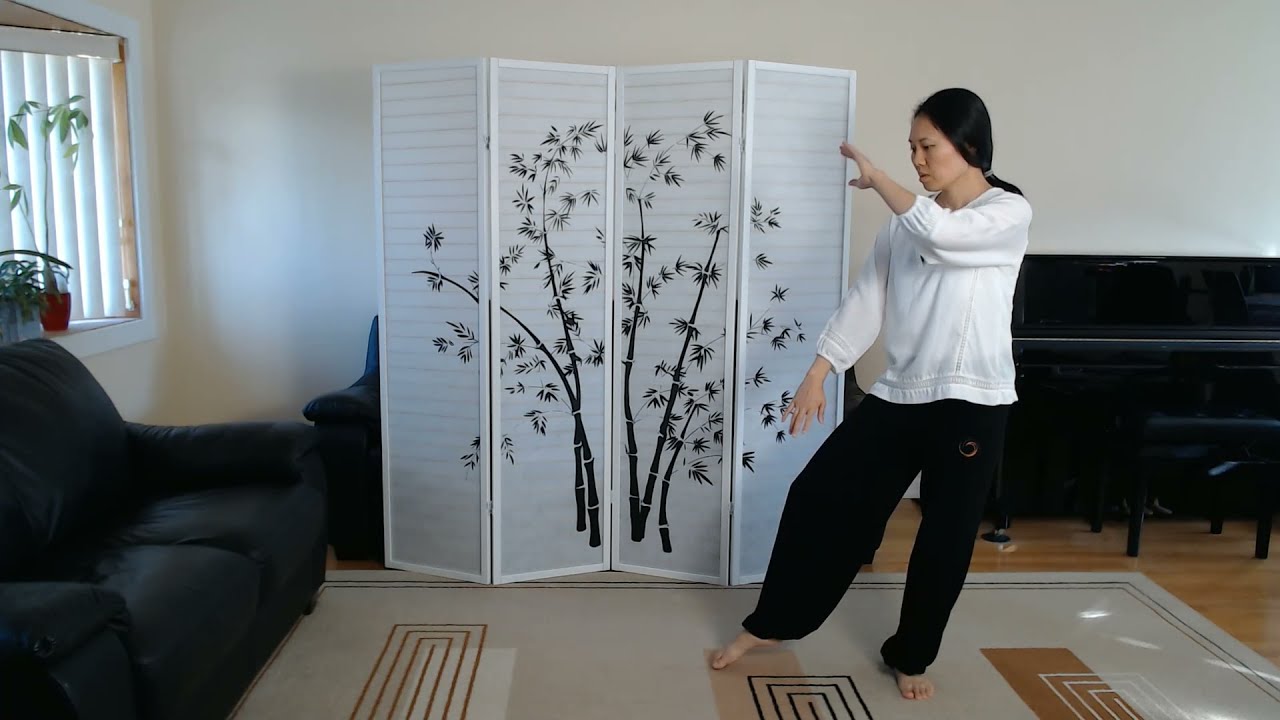 Tai Chi Yang Style 37 Form - First 14 Movements