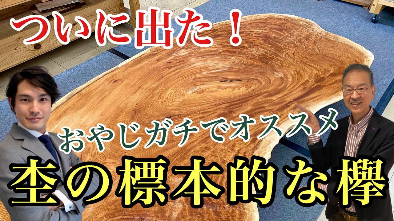 【感激】おやじガチでオススメ杢の標本：ケヤキ(欅)一枚板/輪切り Keyaki