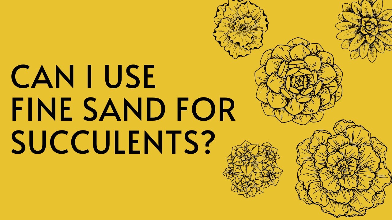 || SUCCULENT FAQ 47 || CAN I USE FINE SAND FOR  SUCCULENTS ||