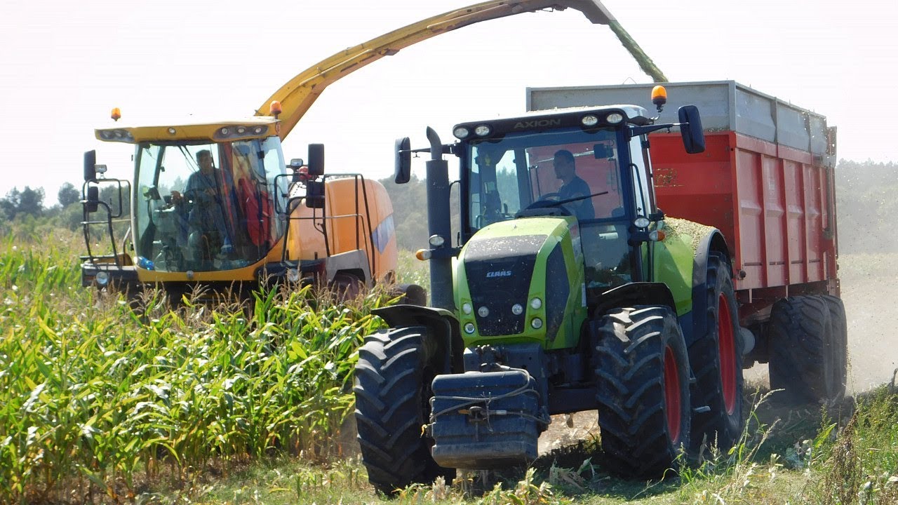 Sierpniowa kukurydza na kiszonkę 2018 – New Holland FR9050, 3x Claas, Zetor